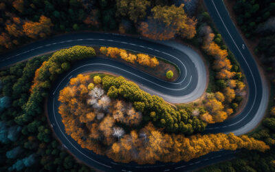 Winding road viewed from above