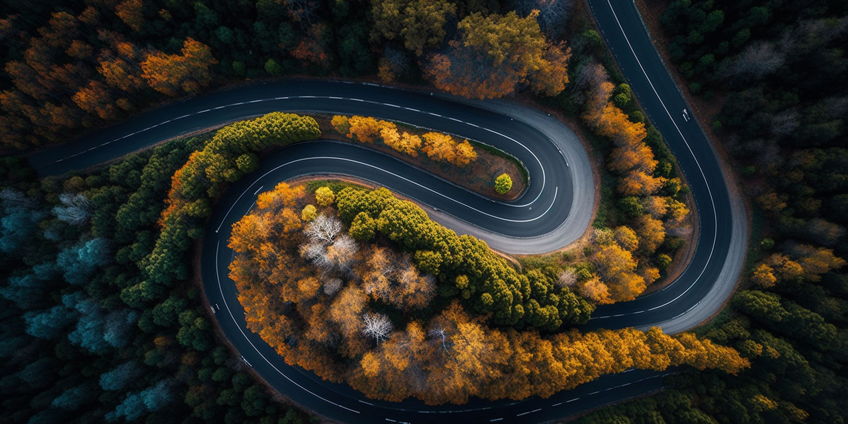 Winding road viewed from above