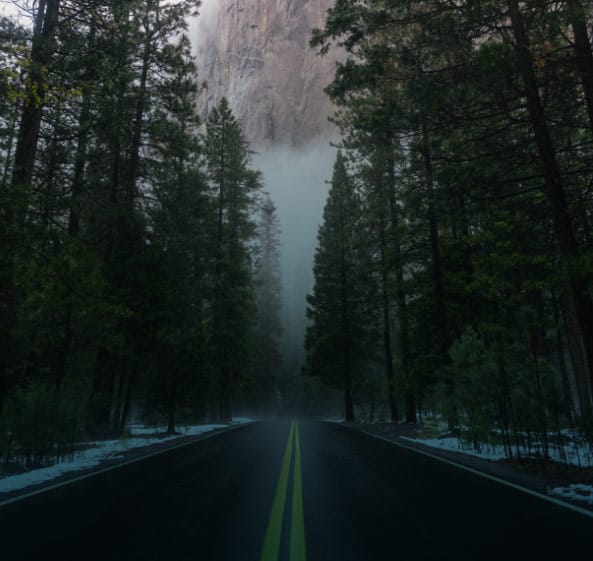 Road surrounded by forrest going towards a mountain.